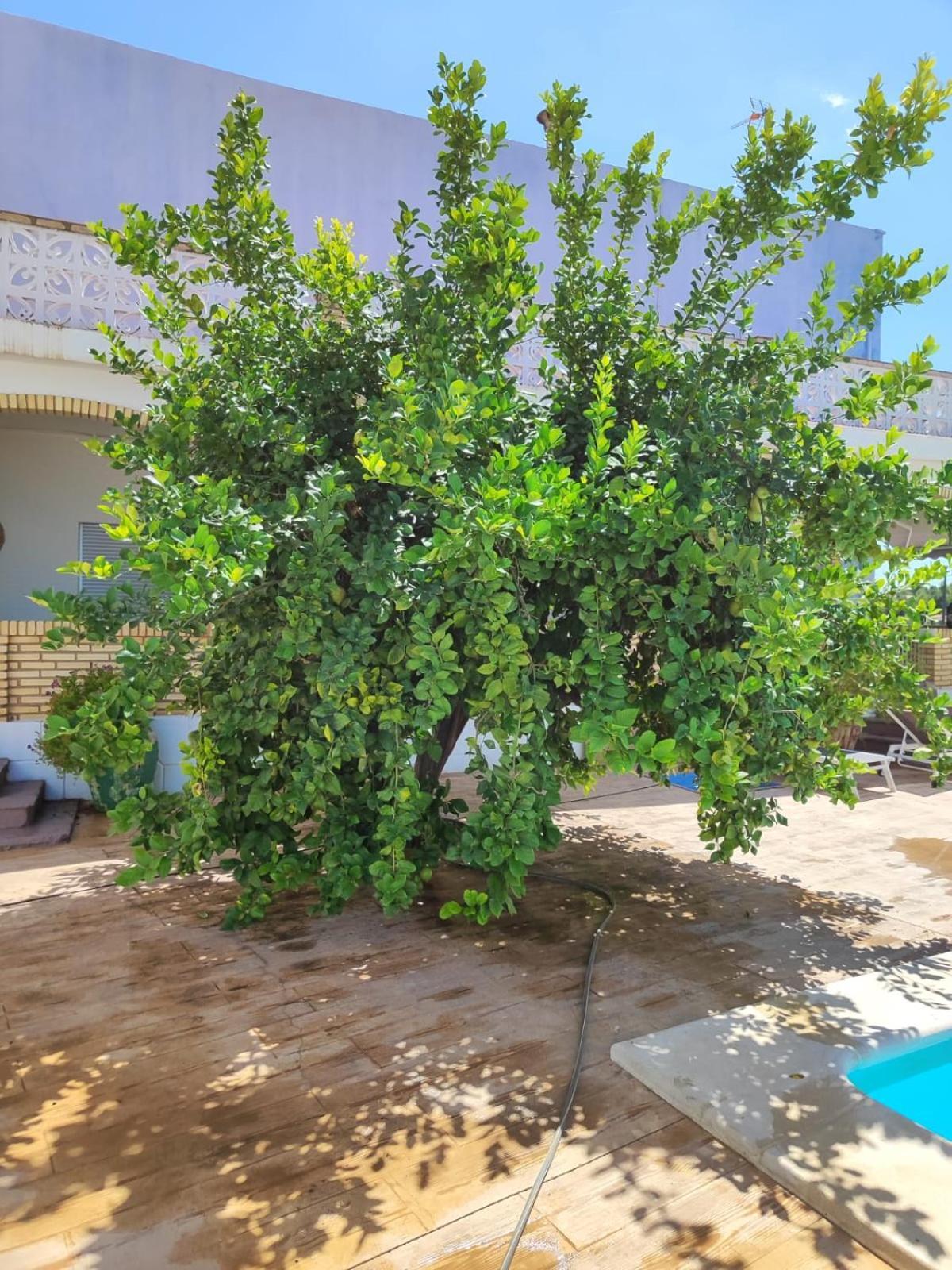 El Recreo, Private Pool & Bbq Villa Godelleta Bagian luar foto
